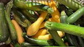 Here's how to the make the most of yellow squash and zucchini