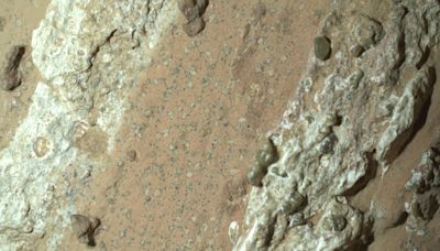 Nasa rover discovers 'possible' signs of life on Mars