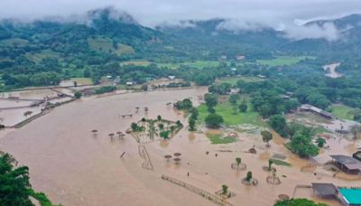 About 100 rescued elephants escape flash floods at popular sanctuary in northern Thailand