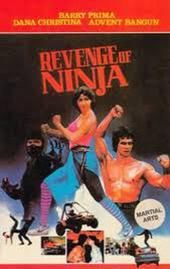 Revenge of the Ninja