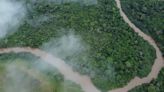Los ‘ríos voladores’ amazónicos: fuente de vida | Blogs El Espectador