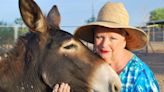 North Dakota woman pens book for kids about election process with help from her trusty pet donkeys