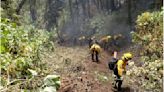 Incendio forestal en el Nevado de Toluca es controlado al 100%