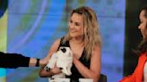 Charlotte Pence: I Bought The Gay Bunny Book