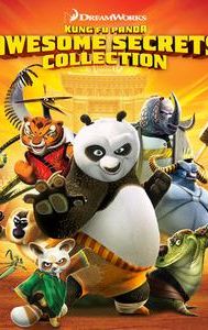 Kung Fu Panda Awesome Secrets