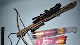 Ban on ninja swords but no mention of crossbows in planned weapons crackdown