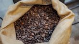 Cocoa prices continue to spike: What's driving costs higher?