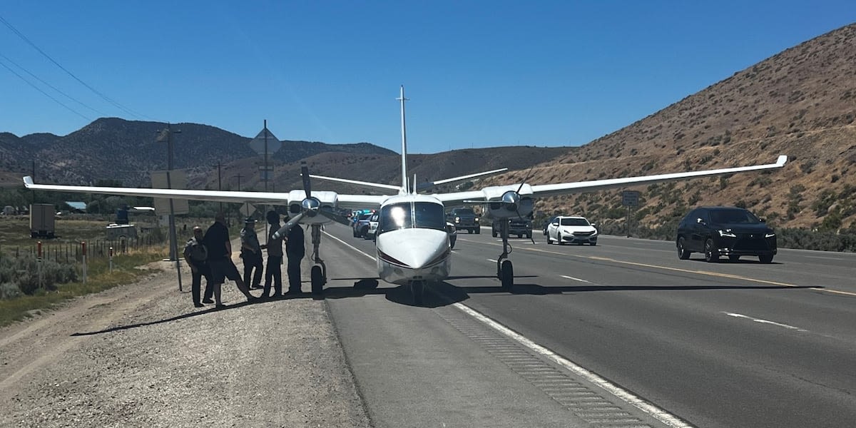 Police: Plane that landed on Highway 50 ran out of gas