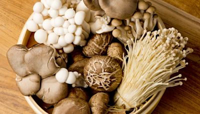 吃菇類增強免疫力又抗衰老 醫：2族群要適量 - 健康