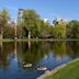 Boston Public Garden