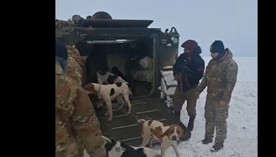 El Ejército rescató a un peón y sus 13 perros de una cabaña en Santa Cruz aislada desde hace un mes por la nieve