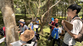 玉山國家公園「生態觀察與自然藝術課」報名開跑 創造暑假難忘回憶 | 蕃新聞