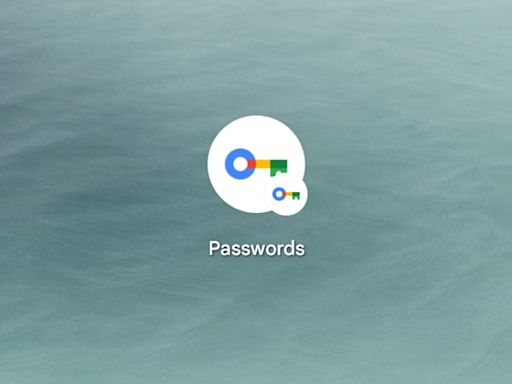 Google Password Manager rolling out small Material You redesign