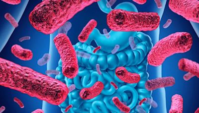 Microbiota intestinal: veja como a saúde do intestino pode afetar o corpo todo - AMAZÔNIA BRASIL RÁDIO WEB