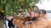 Stark County unveils battlefield cross, 'witness tree' at courthouse for veterans