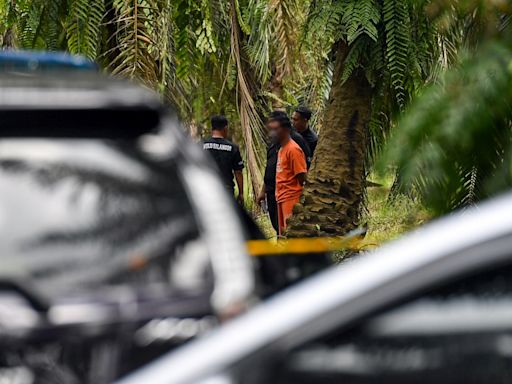 Oil palm plantation likely scene of Nur Farah Kartini’s murder, says Selangor police chief