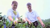 傳承父親50年製茶經驗 茶農第6代周育成獲三峽碧螺春特等獎