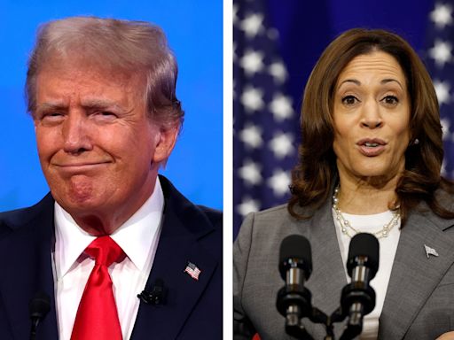 Donald Trump destroys Kamala Harris in new poll