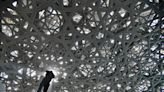 Por que Abu Dhabi ergue a 'meca das artes', com obras de Da Vinci e Lygia Clark