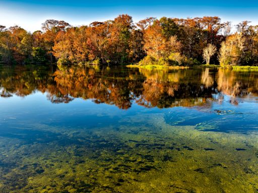 8 best places to see fall foliage in Florida from Palm Beach County