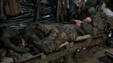 Rats and mice swarm trenches in Ukraine in grisly echo of World War I