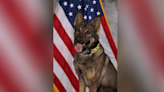 Escaped Lake Wales police K-9 found safe