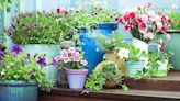 Container Garden Ideas: These Displays are Inexpensive, Easy to Make & Simply Stunning