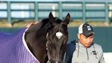 Stakes Winner Tyler's Tribe Dies at Oaklawn Park