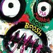 The Mighty Book of Boosh