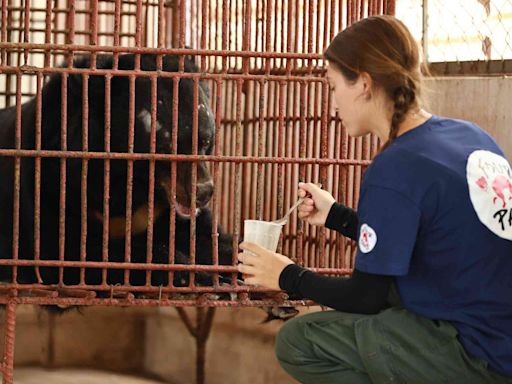 Bear Kept in Tiny Indoor Cage Sees the Outdoors for the First Time in 20 Years During His Rescue