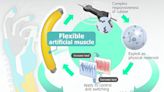 Built-in bionic computing: Researchers develop method to control pneumatic artificial muscles