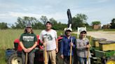 Soybean cyst nematode plot planted at Monroe County Community College