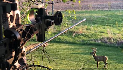 Ryan Rothstein: Here are some reasons why your arrow isn’t hitting the bull’s-eye - Outdoor News