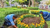 Avanza Ayuntamiento en rehabilitación de parques públicos y áreas verdes