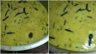 Video: Rat found swimming inside large vessel of chutney at university mess in Hyderabad