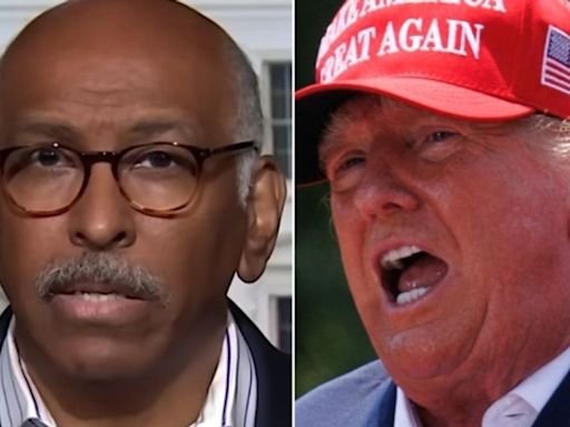 Ex-RNC Chair Michael Steele Asks 5 Pressing Questions About Trump's Rally Injuries