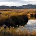 Imperial National Wildlife Refuge