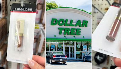‘Stila at dollar tree ?! What a time to be alive!’: Shopper says Dollar Tree is hiding prestige beauty products in plain packaging