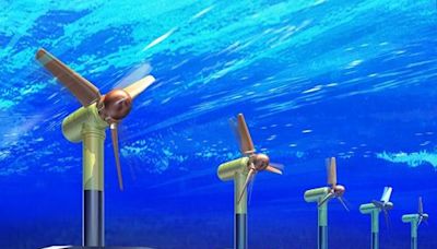 The Rising Tide: What is the Future of Tidal Energy?