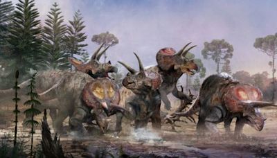 ¡Steven Spielberg tenía razón! Ciencia confirma que triceratops vivían en manadas