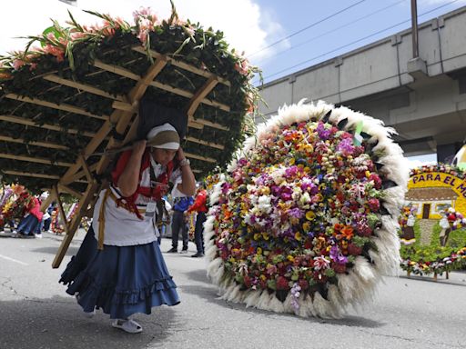 Medellín brilla con sus silleteros desfilando en colorido cierre de la Feria de las Flores