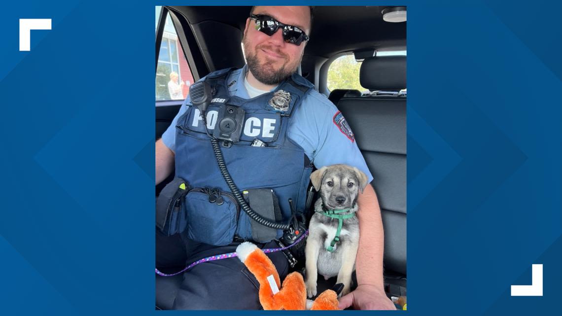 Rescue puppy adopted by the Cheektowaga Police Department
