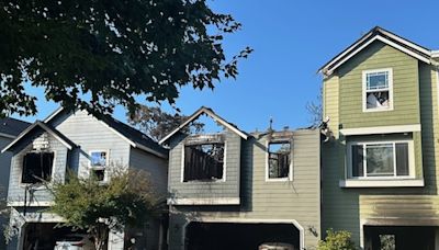 Oregon’s largest spider, plane crash into Fairview home, couple faces long sentence after torturing 4-year-old: Read Portland’s top public safety stories