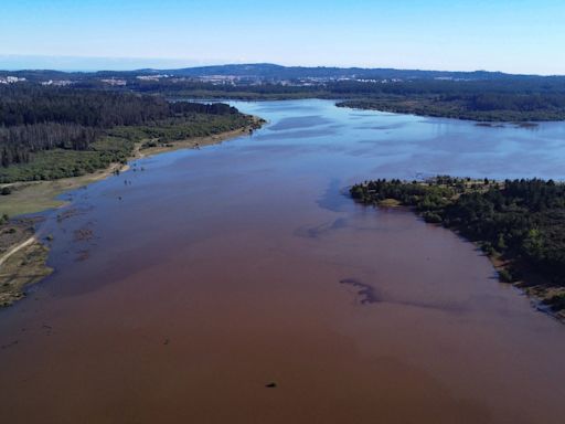 Drought-hit lakes in Chile come back to life after downpours