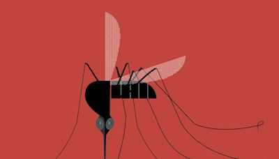 3 Signs It's Time to Start Worrying About a Mosquito Bite