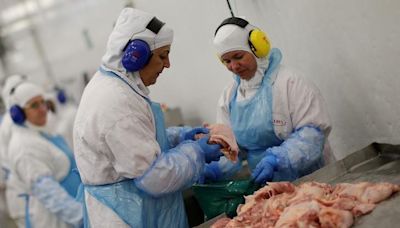 Ministério da Agricultura confirma foco de doença de Newcastle em frango no RS Por Estadão Conteúdo
