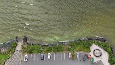 Agri-business, human wastewater treatment, to blame for Lough Neagh algal blooms: study