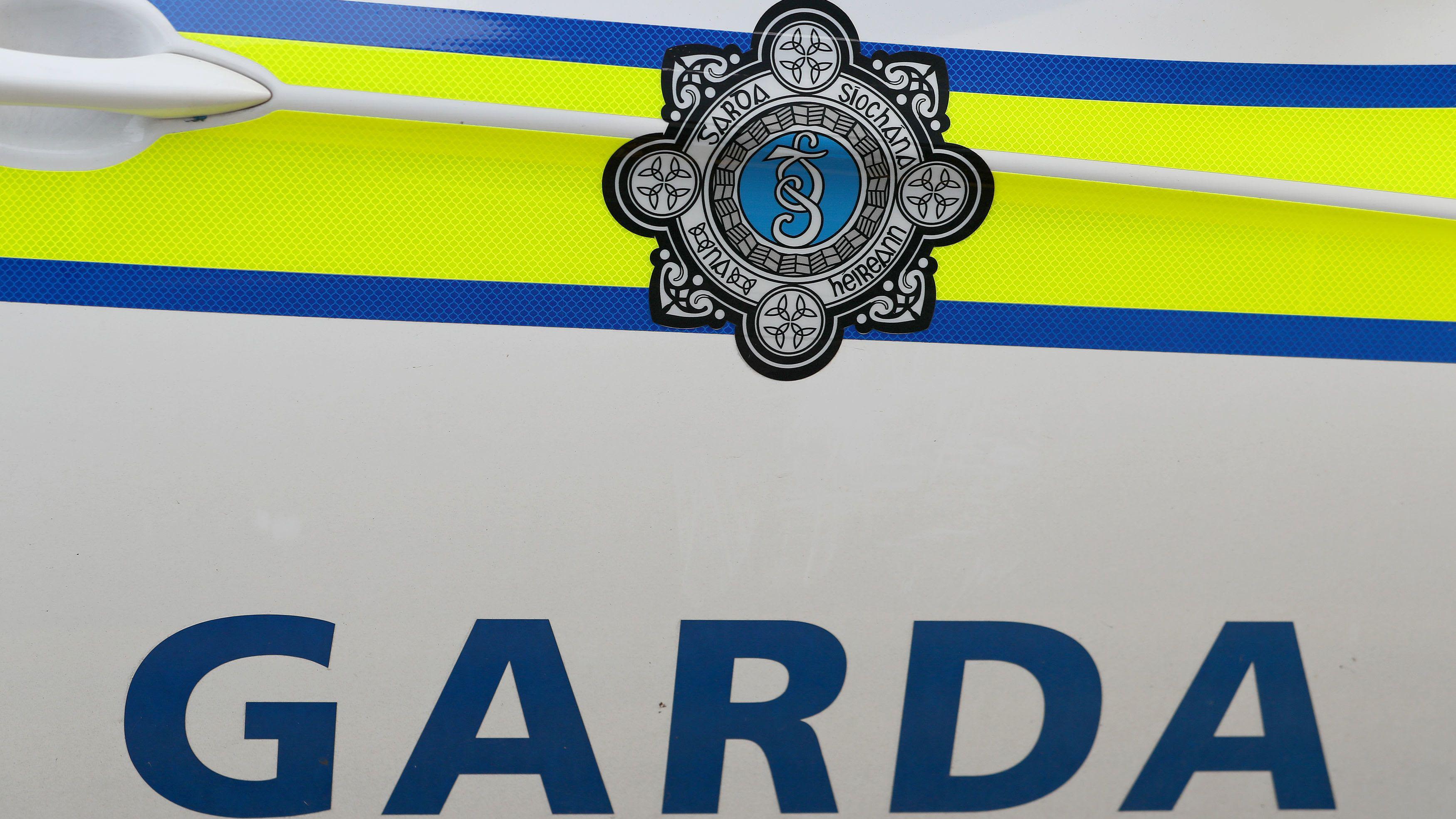 Pit bull terrier shot by Irish police after two injured