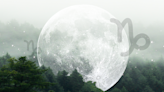 How the Full Moon in Capricorn of July 2023 Will Affect Each Zodiac Sign