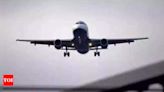 US airlines cancel over 1,300 flights due to Hurricane Beryl - Times of India